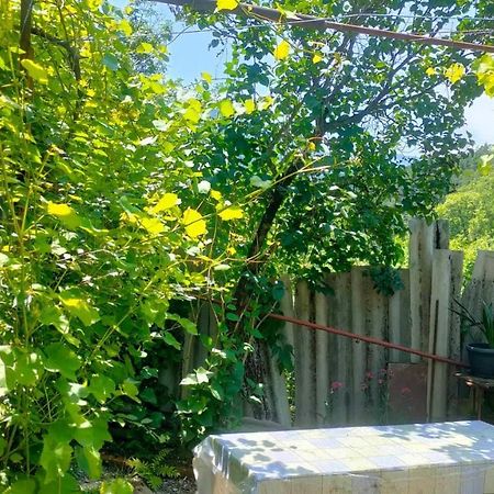 Guest House Gogias Cixe Боржоми Экстерьер фото