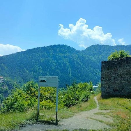 Guest House Gogias Cixe Боржоми Экстерьер фото