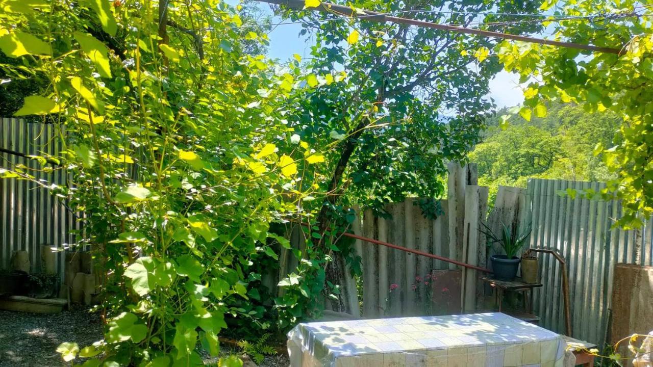 Guest House Gogias Cixe Боржоми Экстерьер фото